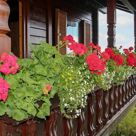 Saurachberghuette By Interhome